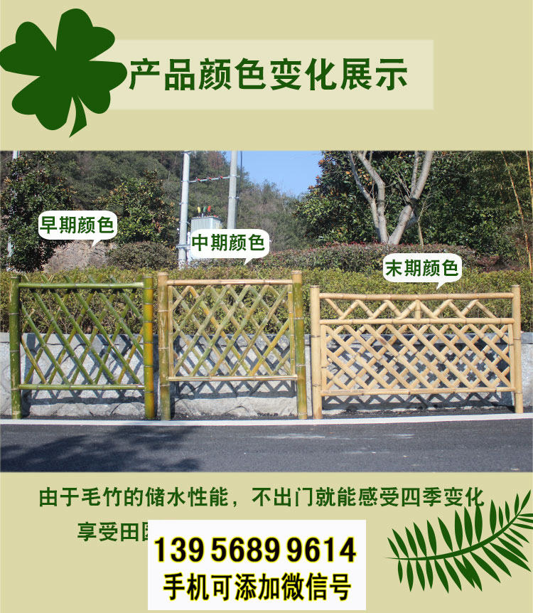 淄博竹篱笆 pvc护栏草坪围栏竹栅栏围栏（中闻资讯）