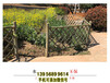 揭阳榕城竹篱笆竹子护栏绿化栏杆pvc护栏（中闻资讯）