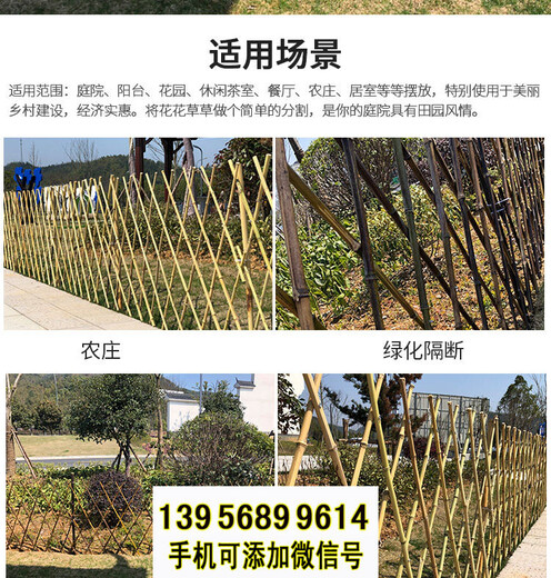 甘南竹篱笆pvc护栏紫竹篱笆绿化围栏（中闻资讯）