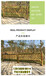 安庆岳西pvc护栏锌钢草坪护栏塑钢护栏工厂栅栏
