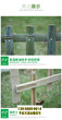 宣城宣州区竹篱笆圃竹篱笆竹护栏木护栏图片