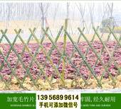 邵阳双清竹篱笆pvc护栏紫竹篱笆pvc	塑钢围栏（中闻资讯）图片4