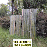 果洛班玛县竹篱笆pvc护栏竹篱笆pvc仿木围栏（中闻资讯）图片2