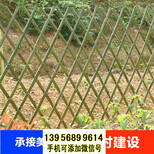 烟台竹篱笆pvc护栏草坪栏杆绿化带花园栏杆（中闻资讯）图片3