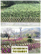 漳州漳浦pvc护栏户外花园围栏花坛栏杆