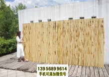 烟台竹篱笆pvc护栏草坪栏杆绿化带花园栏杆（中闻资讯）图片1