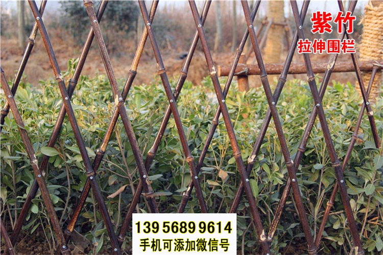 武汉武昌竹篱笆 pvc护栏绿化带花园栏杆pvc隔离栅栏（中闻资讯）