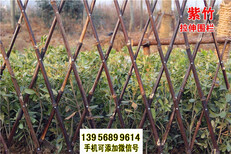 淄博竹篱笆pvc护栏草坪围栏竹栅栏围栏（中闻资讯）图片5