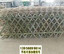 灵川竹围栏竹篱笆围栏竹篱笆pvc护栏小篱笆