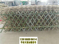 三亚三亚竹篱笆pvc护栏竹子篱笆竹栅栏pvc隔离栅栏（中闻资讯）图片3