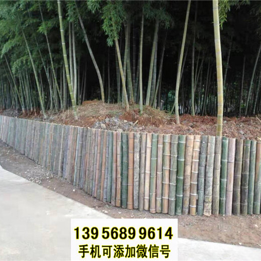 邵阳双清竹篱笆pvc护栏绿化带花园栏杆pvc隔离栅栏（中闻资讯）