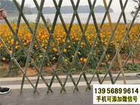 包头青山竹篱笆pvc护栏竹栅栏竹栅栏围栏（中闻资讯）图片1