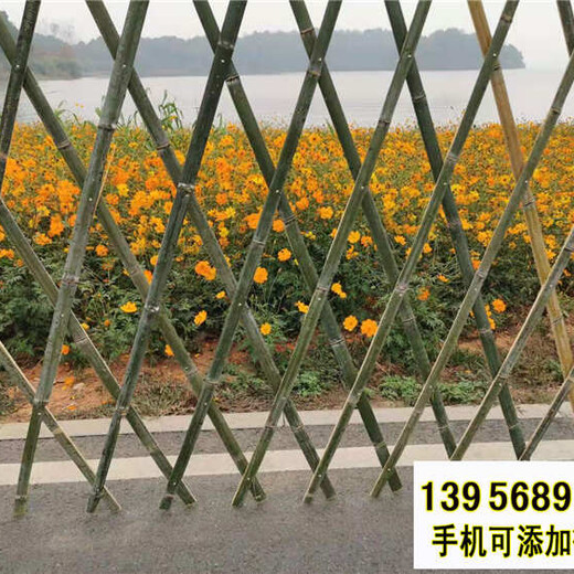 邵阳双清竹篱笆pvc护栏草坪栏杆pvc隔离栏杆（中闻资讯）
