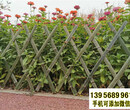 桂东竹围栏竹片竹篱笆pvc护栏隔离护栏图片