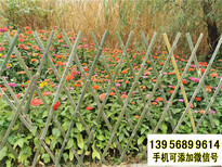 宜春袁州竹篱笆pvc护栏绿化带花园栏杆pvc隔离围栏（中闻资讯）图片3