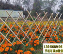 宁波江东区pvc护栏PVC护栏pvc绿化栏杆