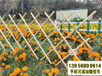 烟台竹篱笆pvc护栏小区围栏竹篱笆栅栏（中闻资讯）图片5