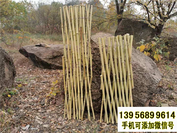 漳州东山竹片栅栏塑钢护栏竹篱笆 草坪护栏绿化带花园栏杆