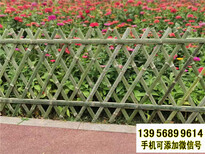 淄博竹篱笆pvc护栏草坪围栏竹栅栏围栏（中闻资讯）图片4