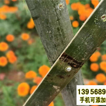 邵阳双清竹篱笆pvc护栏小区栏杆绿化带花园栏杆（中闻资讯）