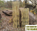 霍邱仿竹围栏竹子护栏仿竹篱笆绿化护栏图片