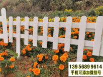临泉竹围栏花园围栏竹篱笆pvc护栏竹栅栏图片1