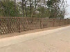 夏河竹围栏花园篱笆竹篱笆pvc护栏交通设施