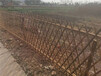牡丹江竹片栅栏塑料花园围栏竹篱笆竹护栏防腐木栅栏篱笆