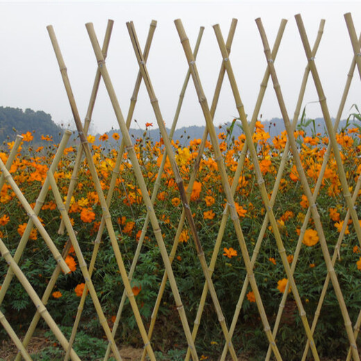 绍兴竹篱笆竹护栏装饰花圃草坪护栏花坛篱笆（中闻资讯）