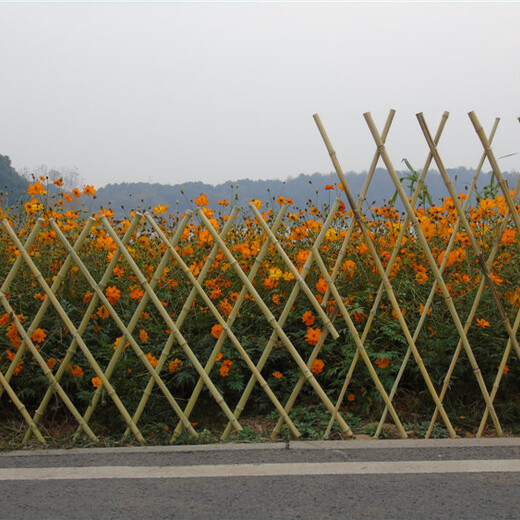 平远塑钢护栏栅栏户外草坪花坛