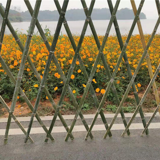 滁州竹篱笆竹护栏塑钢护栏草坪护栏浸塑栅栏（中闻资讯）