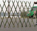 河源和平竹篱笆竹护栏绿化带花园栏杆篱笆爬藤架大自然的搬运工图片