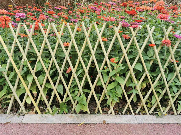 抚宁区竹围栏绿化带花园栏杆竹篱笆 pvc护栏塑钢护栏