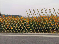 山城区竹篱笆竹护栏栅栏户外菜园花栏（中闻资讯）图片1