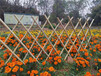 苏州姑苏区pvc护栏绿化围栏花园护栏