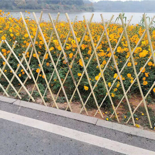 漳州龙文区pvc护栏绿化围栏pvc栏杆