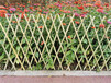 泉州石狮pvc护栏锌钢草坪护栏幼儿园栅栏