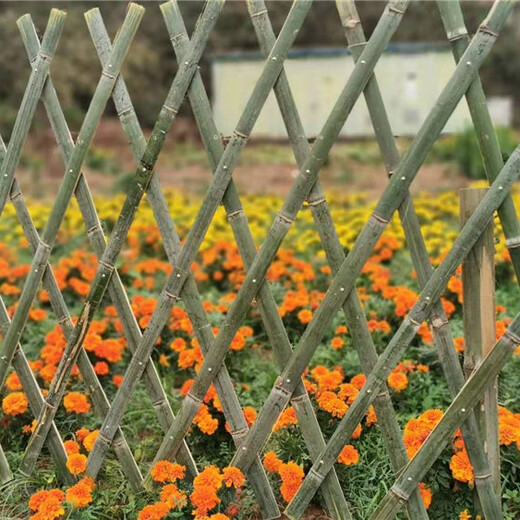 宁德福安pvc护栏塑钢pvc护栏围栏幼儿园栏杆