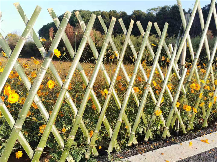 洪雅竹围栏碳化木护栏竹篱笆 pvc护栏混凝土护栏