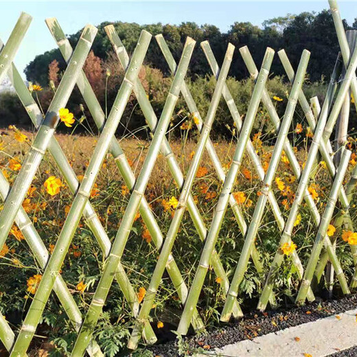 长葛竹篱笆碳化竹围栏竹子篱笆竹子护栏阜阳颍上
