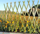 舟山定海区pvc护栏护栏草坪塑钢护栏电力围栏图片