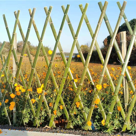 阜阳颍州区pvc护栏绿化栏杆围栏竹篱笆草坪护栏PVC护栏