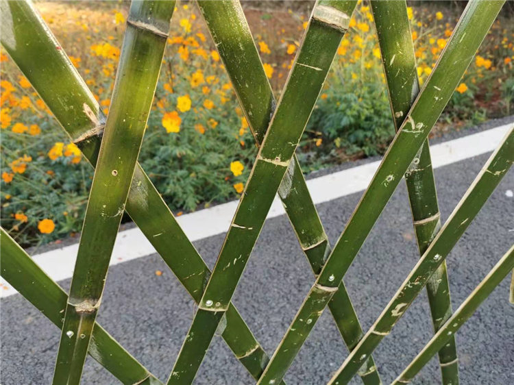 仙林大学城竹围栏锌钢草坪护栏竹篱笆 pvc护栏木护栏