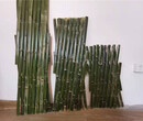 滁州竹篱笆竹护栏篱笆围栏草坪护栏活动围栏（中闻资讯）图片