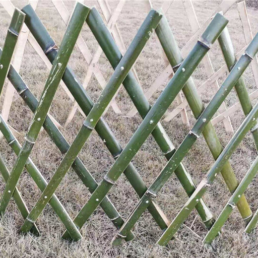 蒙城竹围栏防腐竹篱笆竹篱笆pvc护栏铁艺护栏