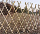 晋州竹篱笆竹护栏防腐木栏杆木围栏（中闻资讯）图片