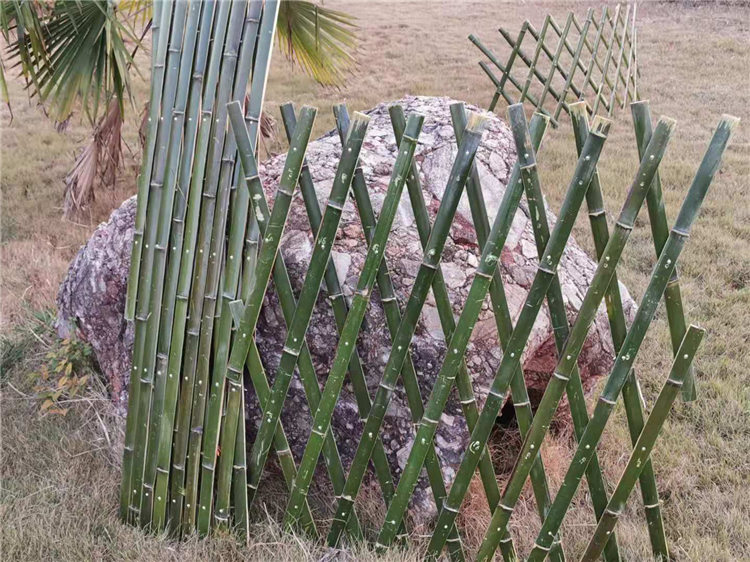 长海竹围栏菜园围栏竹篱笆 pvc护栏木围栏