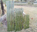 郑州新密pvc护栏pvc护栏竹篱笆草坪护栏pvc塑钢栅栏图片