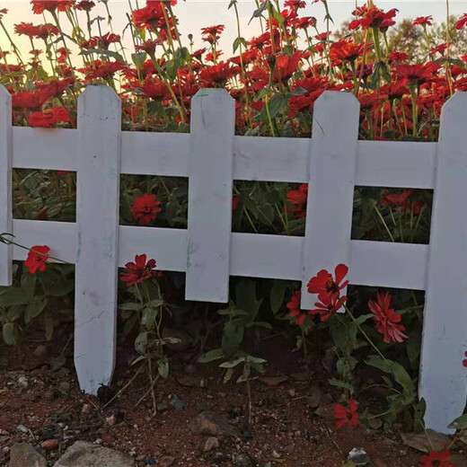 杭州萧山区pvc护栏花池白色塑料竹篱笆草坪护栏草坪栏杆