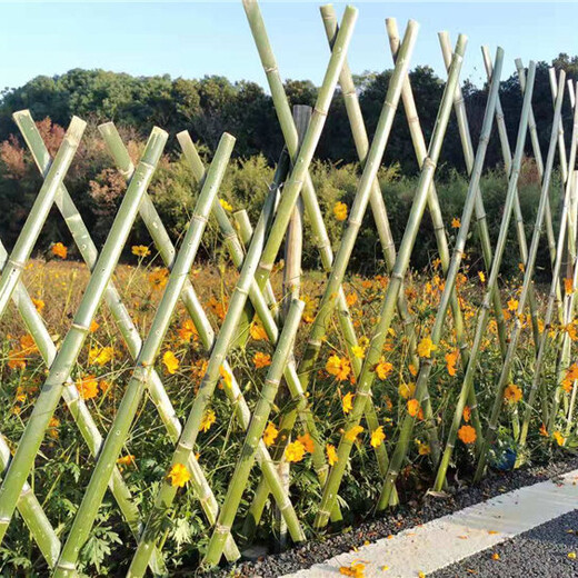 吉安吉安竹篱笆竹子护栏竹护栏塑钢护栏